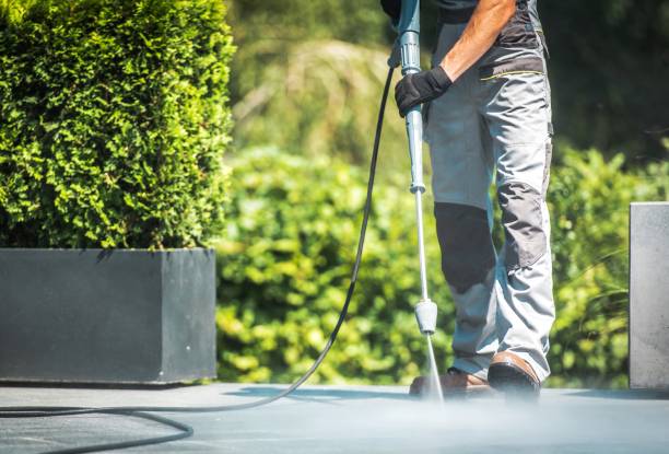 Best House Exterior Washing  in Raymond, WA