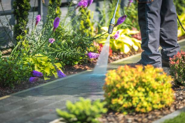 Best Gutter Cleaning  in Raymond, WA