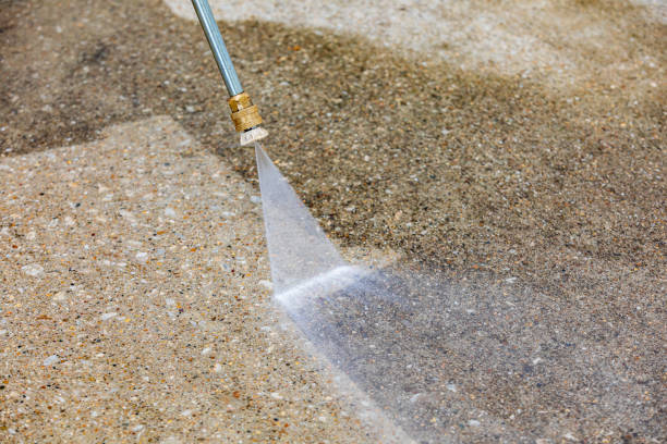 Best Animal Enclosure Cleaning  in Raymond, WA